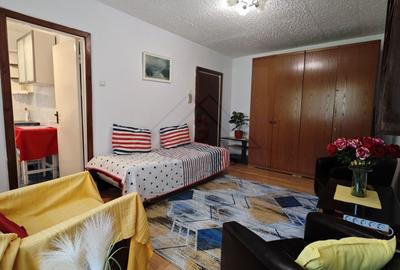 Garsonieră decomandată, mobilată în Lipovei