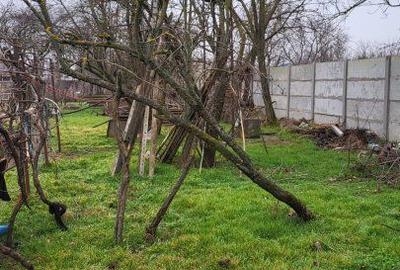 Casă cu 3 camere în Buciumeni - 3