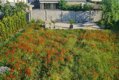 Casa de vanzare direct de la proprietar . - 12