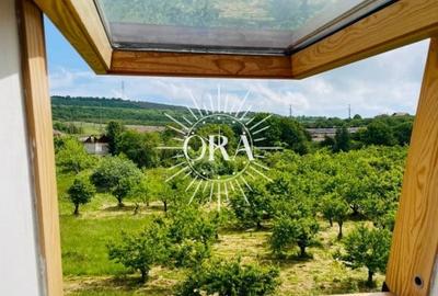 APARTAMENT DE INCHIRIAT CU 3 CAMERE IN VILA | GRADINA PROPRIE |  ZONA IRIS - 13