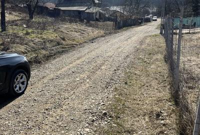 Teren de 10000 mp, în Central - 3
