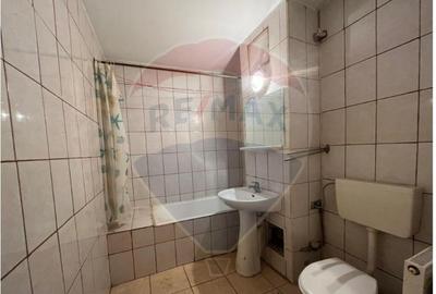 Vanzare-Apartament 2 camere langa Parcul Subarini - 4