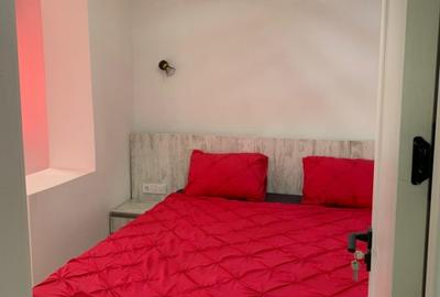APARTAMENT DE VANZARE 3 CAMERE CALEA BASCOVULUI - 11