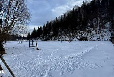 Spațiu comercial, în Colacu - 3