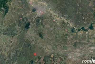 Teren de 12500 mp, în Gherăseni - 2