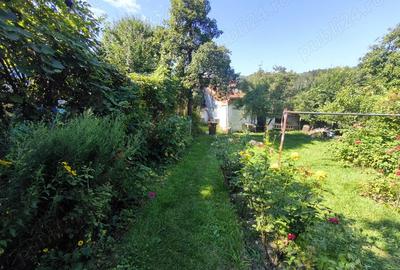 Corp de casa - Pia?a Uniri. Corp de casa - Pia?a Uniri. - 8