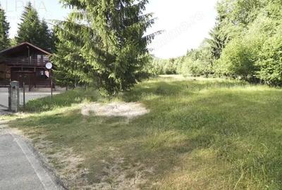 Teren de 16945 mp, în Colibița - 8