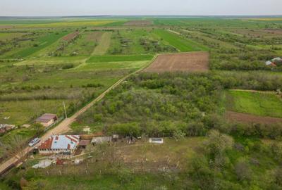 LETCA NOUA, TEREN CONSTRUCTII 1184 MP, FRONT 21 M ! - 2