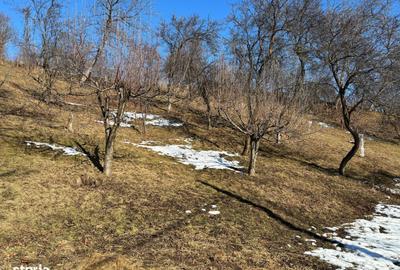 Casă cu 2 camere decomandat în Central - 3