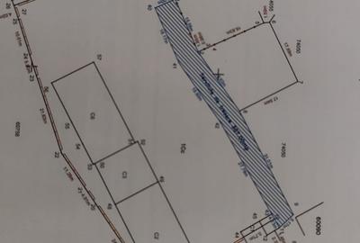 Teren Construcții intravilan de 3929 mp, în Cetate - 11