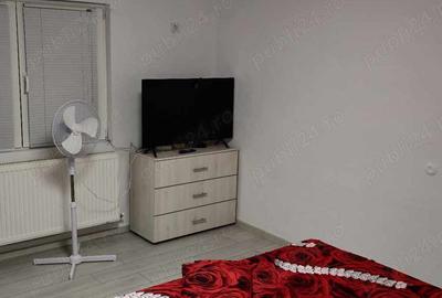 Inchiriat casa Slatina strada liliacului - 3