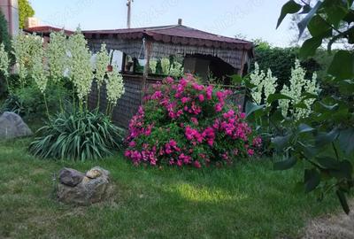 Casă cu 5 camere în Nuci - 9