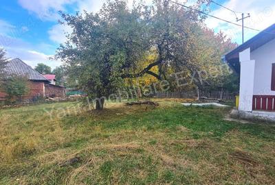 Casă în Domnești - 2