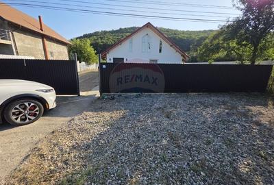 Casa cu teren de vanzare in Lespezi - 12
