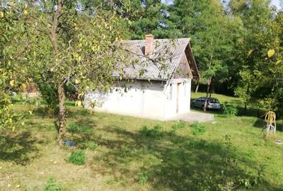 Teren de 5000 mp, în Pălatca - 2