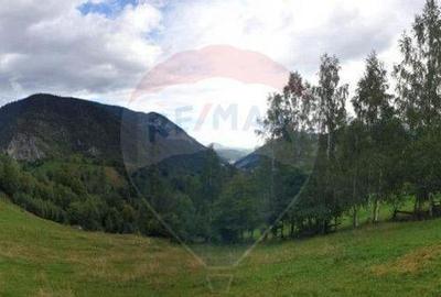 Comision 0 %/ Teren extravilan 13,570mp Pestera / Priveli... - 4