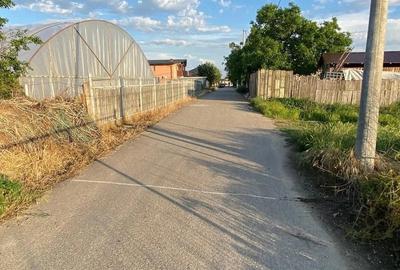 Teren de 3800 mp, în Grădiștea - 6