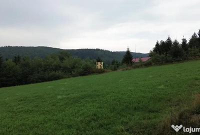 Teren de 5023 mp, în Voroneț - 17