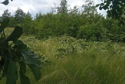 Teren de 5000 mp, în Vicovu de Sus - 2