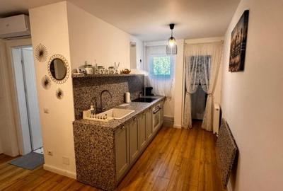 Apartament cu 2 camere, 1 Mai Insula - 2