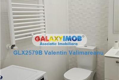 Garsonieră decomandată, mobilată în Theodor Pallady - 12