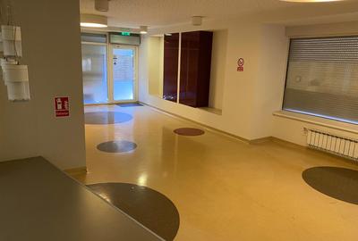 Inchiriere spatiu comercial P+1  230mp curte terasa ideal investitie Aviatorilor - 3