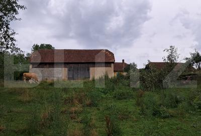 Proprietate in Iara 6.000  teren, ideala pentru casa sau investitie - 8