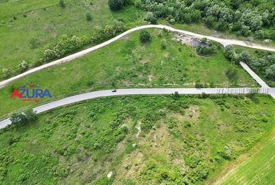 AZURA Imobiliare - Teren Topoloveni Bamesa Autostrada - 3