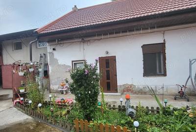 Proprietate de Vanzare 2 Case + Atelier Auto Func?ional + Anexe Zona Chi?odei, Timi?oara - 8