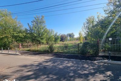 Teren de 5300 mp, în Dămăroaia - 3
