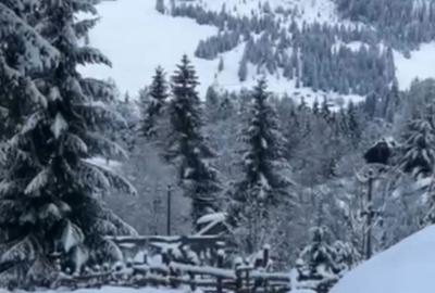 Teren de 6000 mp, în Ortoaia - 6