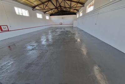 Spațiu industrial, 1200 mp în Nufărul