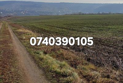 Teren 1950 mp Sorogari - 7