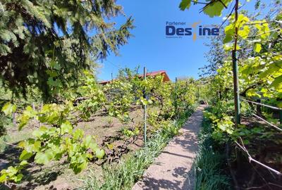 Casa individuala P+M, 164 mp utili + 1062 mp teren, COPOU Casa individuala P+M, 164 mp utili + 1062 mp teren, COPOU - 3