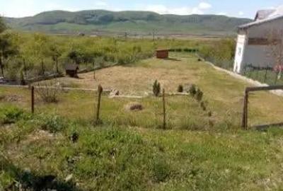 Teren de 2177 mp, în Crainimăt - 3