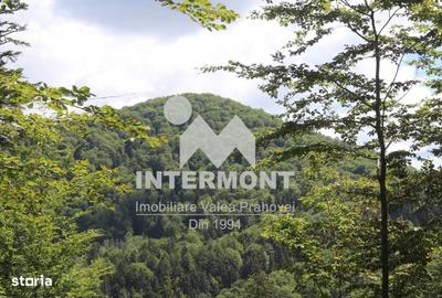 Teren de 500 mp, în Central - 2