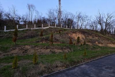 Casă individuală cu 2 camere cu Teren 1100 Mp în Central - 2