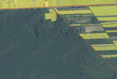 `Teren cu dubla deschidere, langa padure, Snagov - Strada Parcului - 6