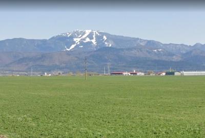 Teren Construcții intravilan de 102500 mp, în Central - 3
