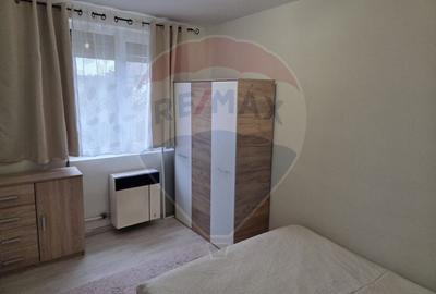 Apartament cu 2 camere semidecomandat, mobilat în Vest - 12