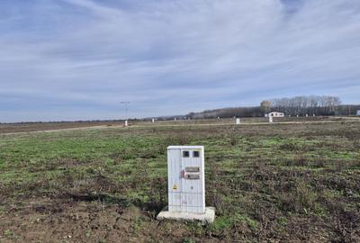 Loturi de teren 638 mp - curent tras la teren - Crevedia - 9