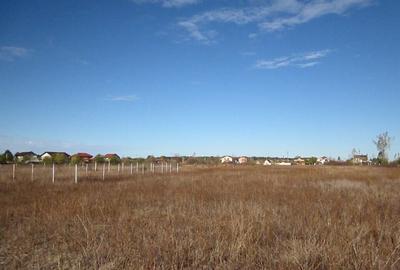 Teghes-Caragea Voda - 5