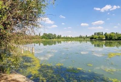 Apartament 3 camere  Floreasca Laguna Residence - 16