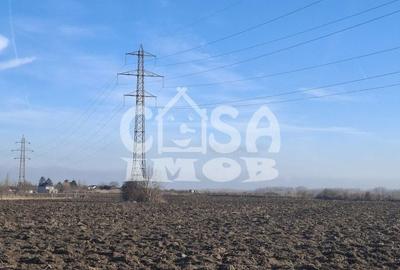 Teren de 4763 mp, în Răzvad - 2