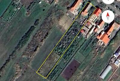 Casă cu 3 camere cu Teren 2985 Mp în Nițchidorf - 10
