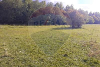 Teren agricol extravilan de 1100 mp, în Glăjărie - 3