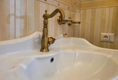 Casă cu 7 camere cu Teren 18000 Mp în Agapia - 9