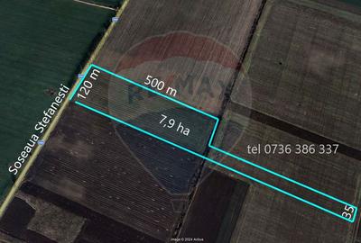 Teren Construcții intravilan de 79000 mp, în Afumați