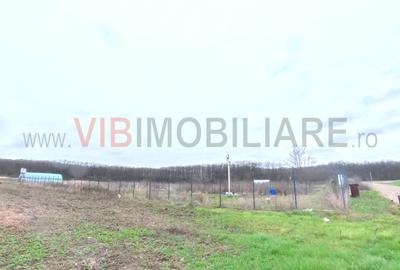 Snagov - Ghermanesti - 9247 mp teren intravilan - deschidere 33 ml - langa padur - 3