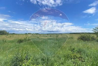 DE VANZARE Teren 5,000mp Sisesti Drumul Piscul Mosului - 3